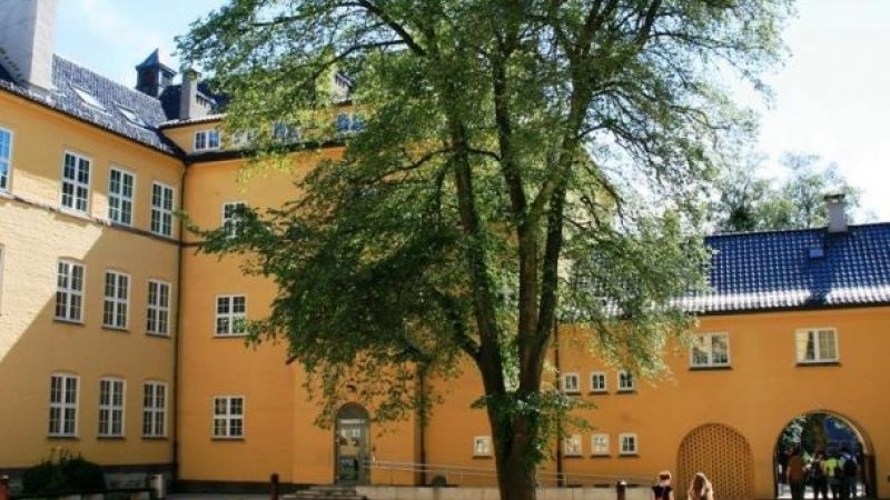 Sydneshaugen, Universitetet i Bergen