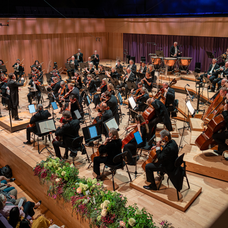 Sørlandets symfoniorkester på podiet i konsertsalen med blomsterdekorasjoner
