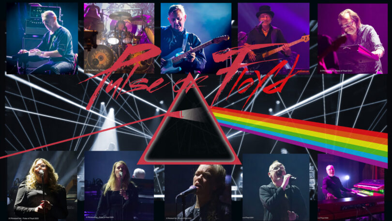 Delicate Sound of Pink Floyd