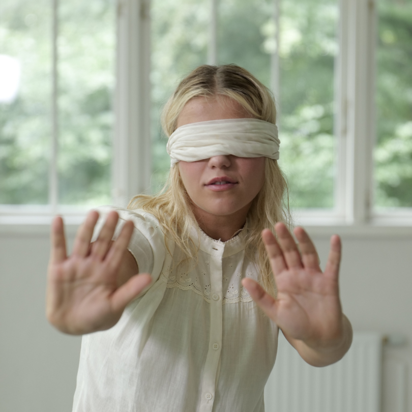 The Wild Duck by Henrik Ibsen